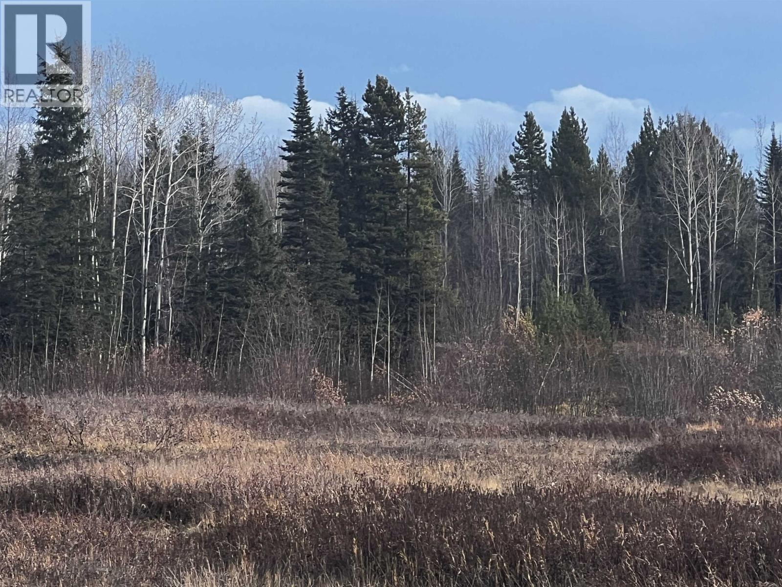 Hart Highway, Prince George, British Columbia  V2K 5W1 - Photo 16 - R3062894