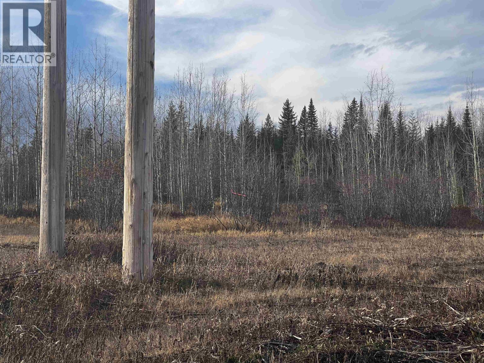 Hart Highway, Prince George, British Columbia  V2K 5W1 - Photo 19 - R3062894