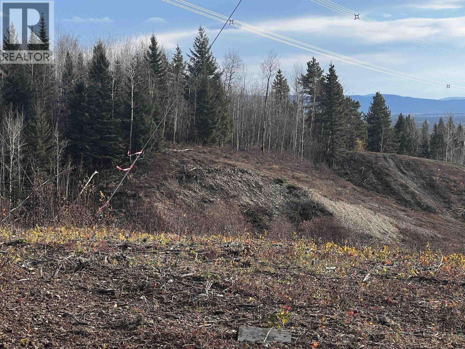 Hart Highway, Prince George, British Columbia  V2K 5W1 - Photo 37 - R3062894