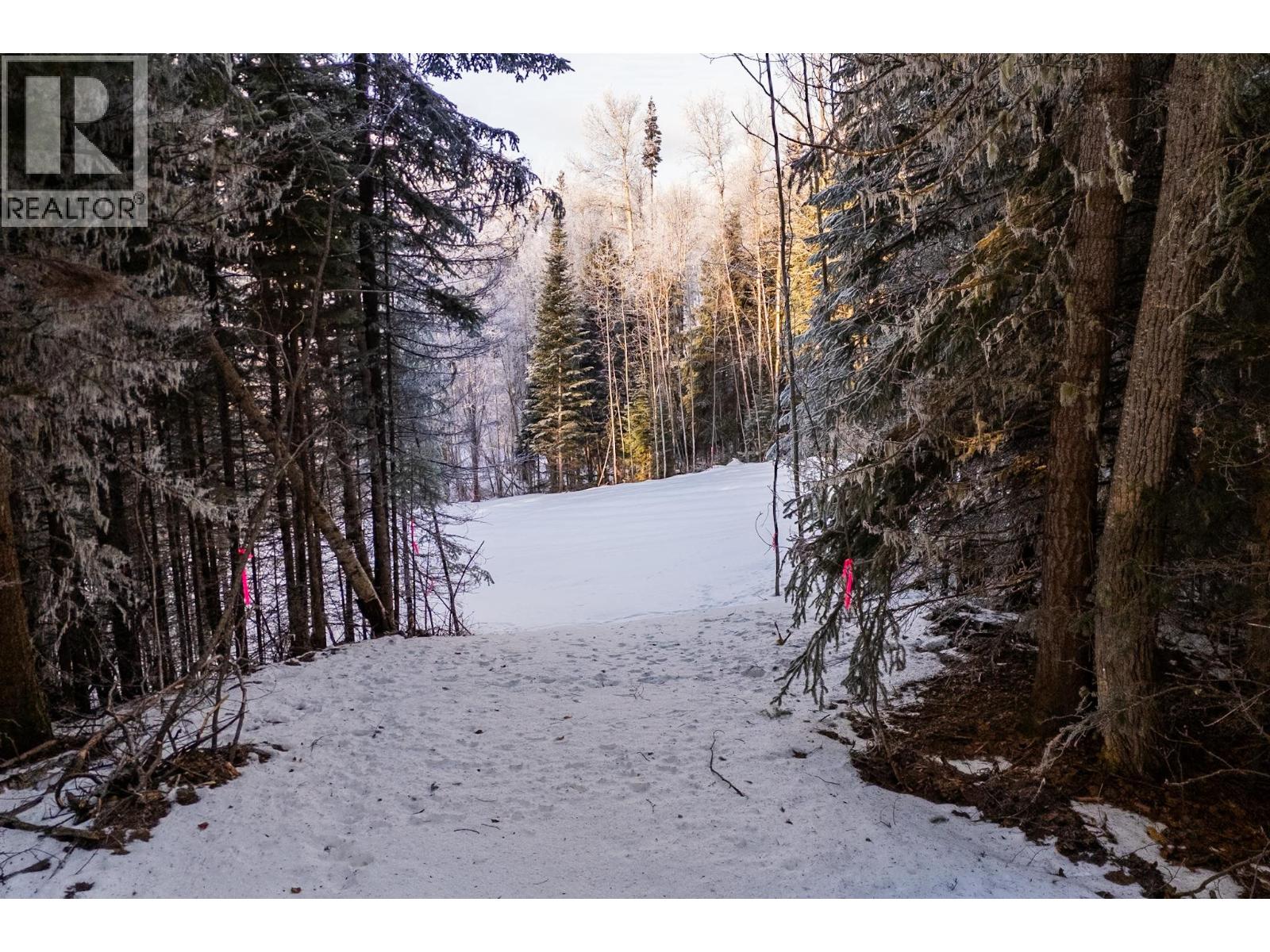 Lot 23-24 Beger Road, Prince George, British Columbia  V2M 7C8 - Photo 2 - R3078905