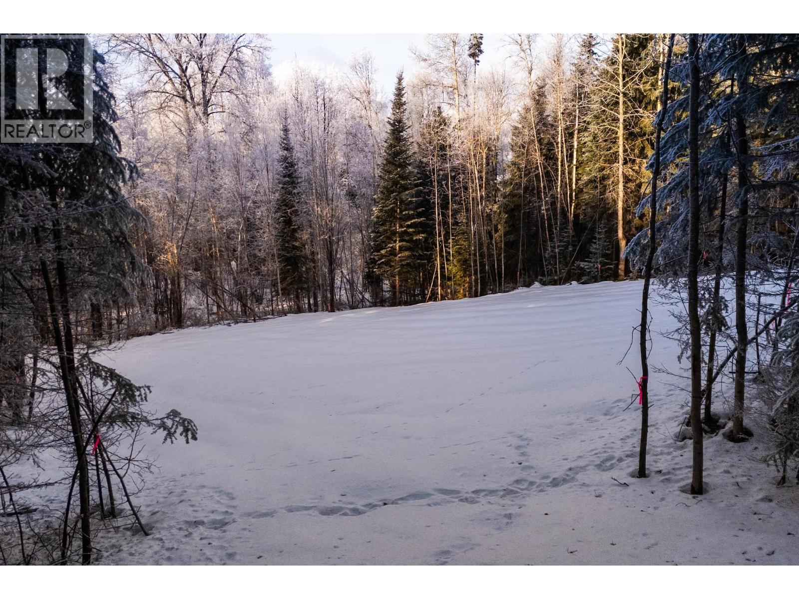 Lot 23-24 Beger Road, Prince George, British Columbia  V2M 7C8 - Photo 4 - R3078905