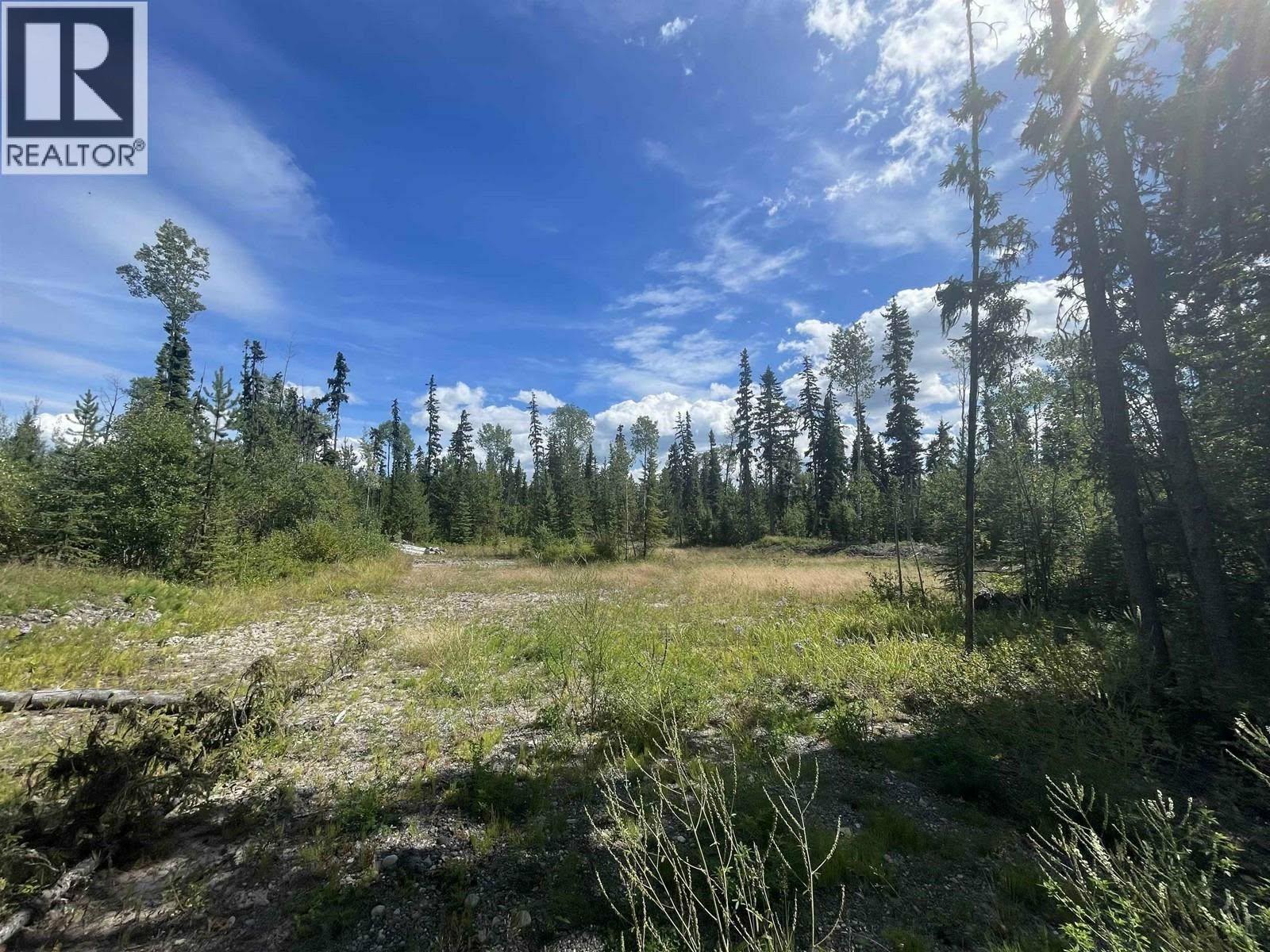 10000 W Hartman Road, Prince George, British Columbia  V2N 6L6 - Photo 3 - R3082925