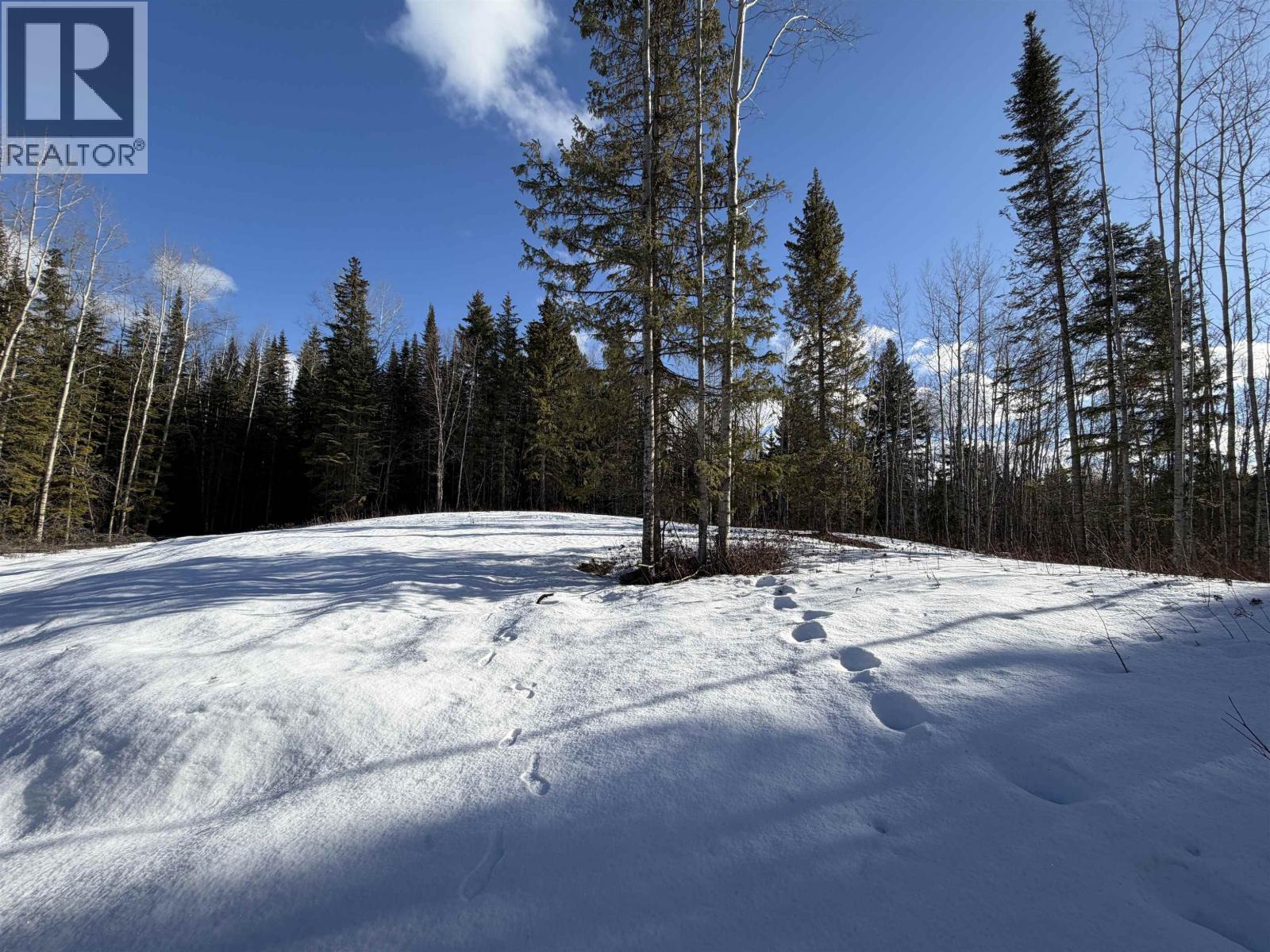 Lot 3 Carlson Road, Prince George, British Columbia  V2K 5E5 - Photo 10 - R3090111