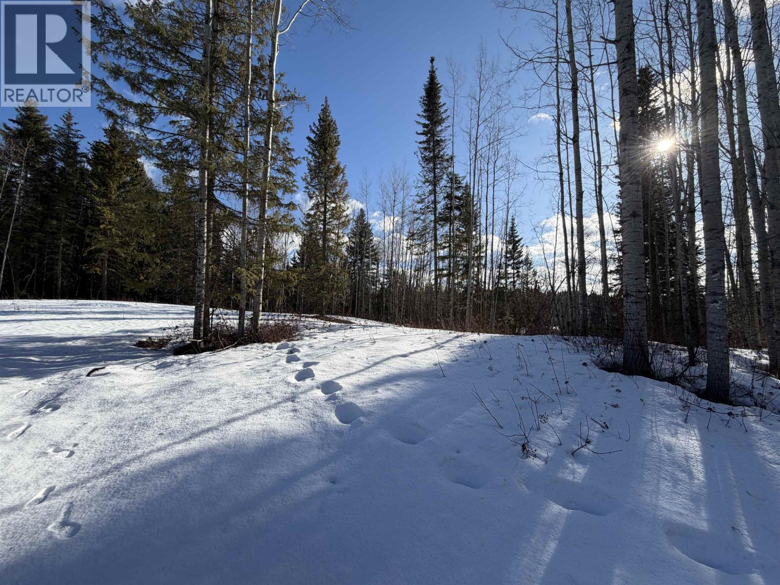 Lot 3 Carlson Road, Prince George, British Columbia  V2K 5E5 - Photo 11 - R3090111