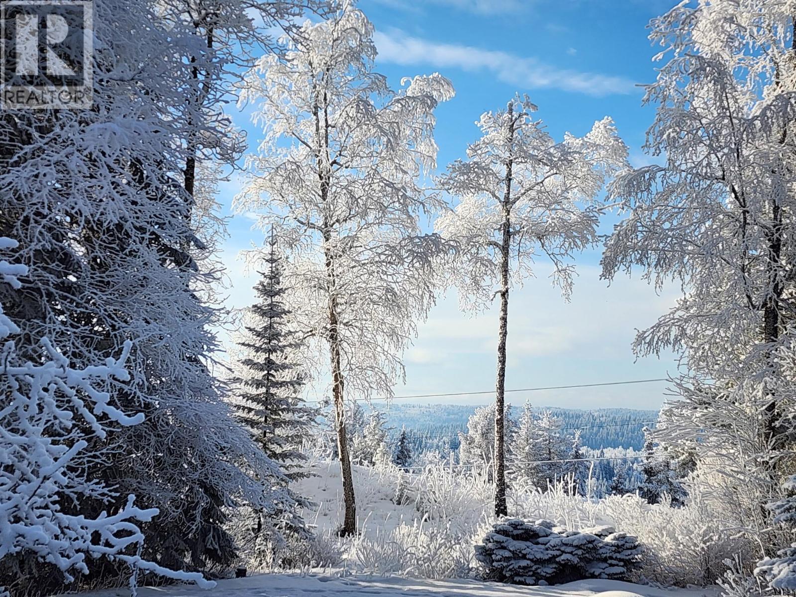 3015 Ridgeview Drive, Prince George, British Columbia  V2K 3T5 - Photo 35 - R3102715