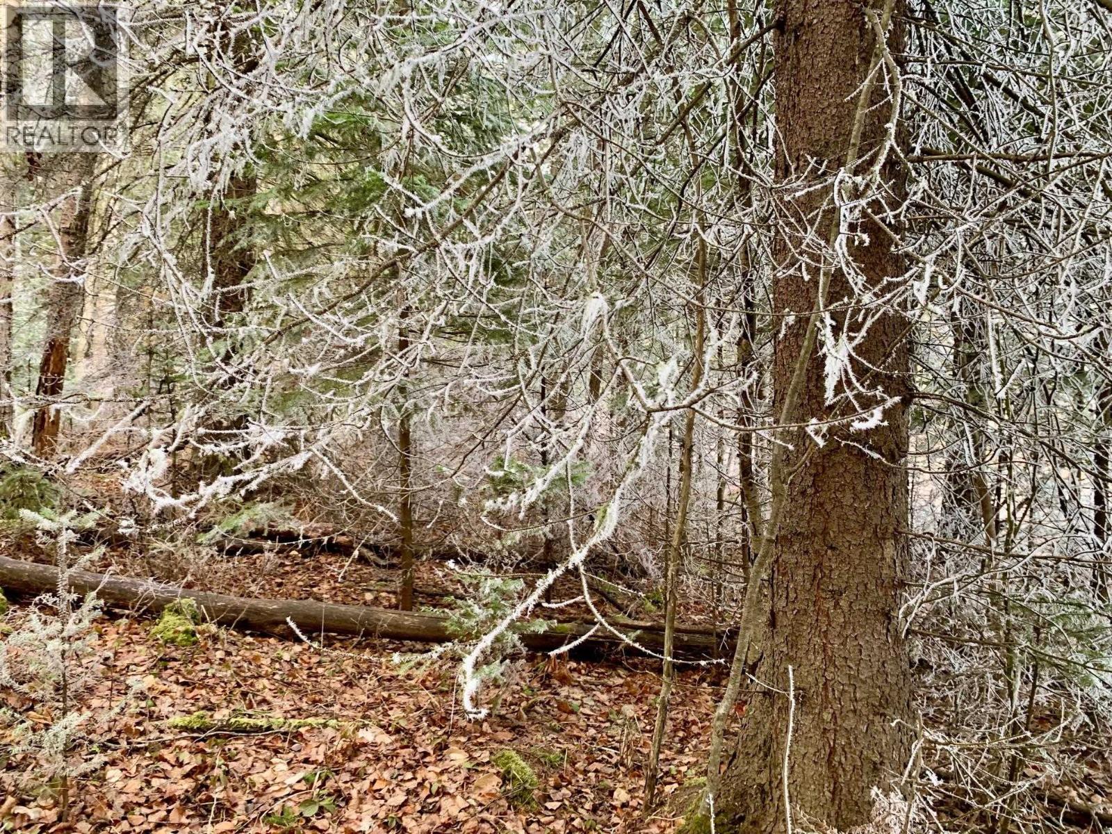 1475 Kueng Road, Prince George, British Columbia  V2M 7C5 - Photo 4 - R3105795