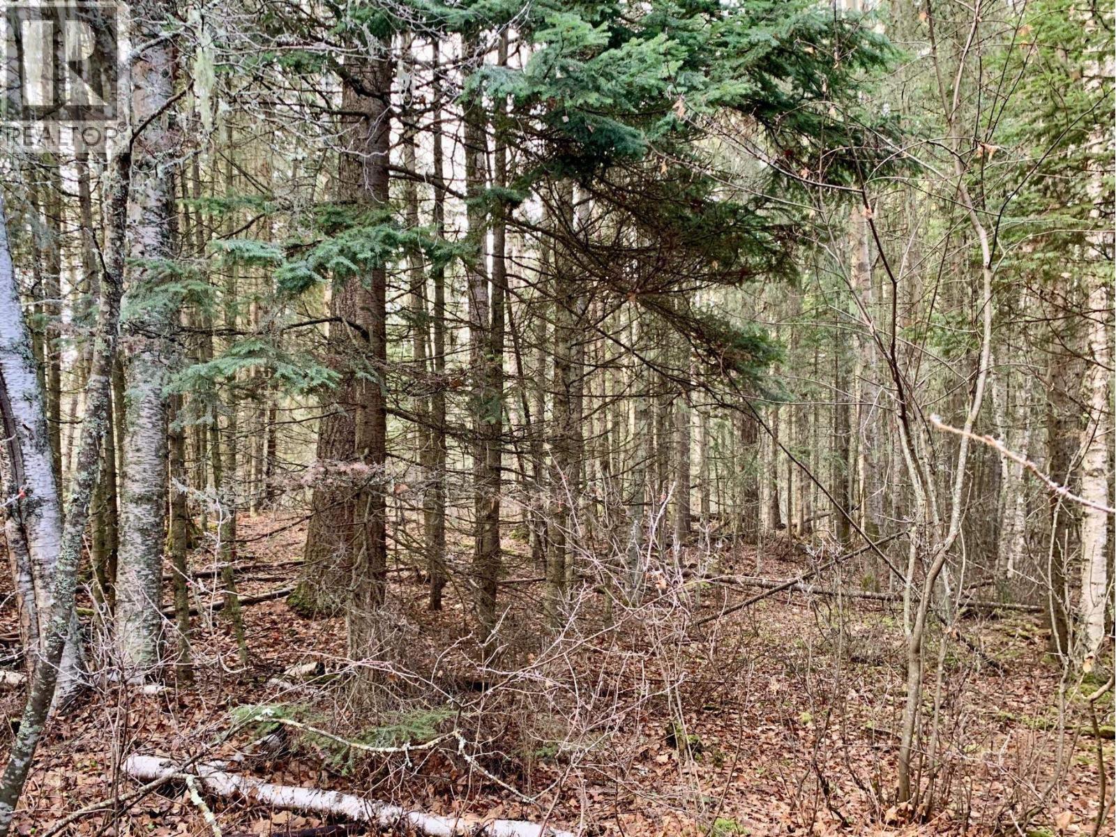 1475 Kueng Road, Prince George, British Columbia  V2M 7C5 - Photo 5 - R3105795