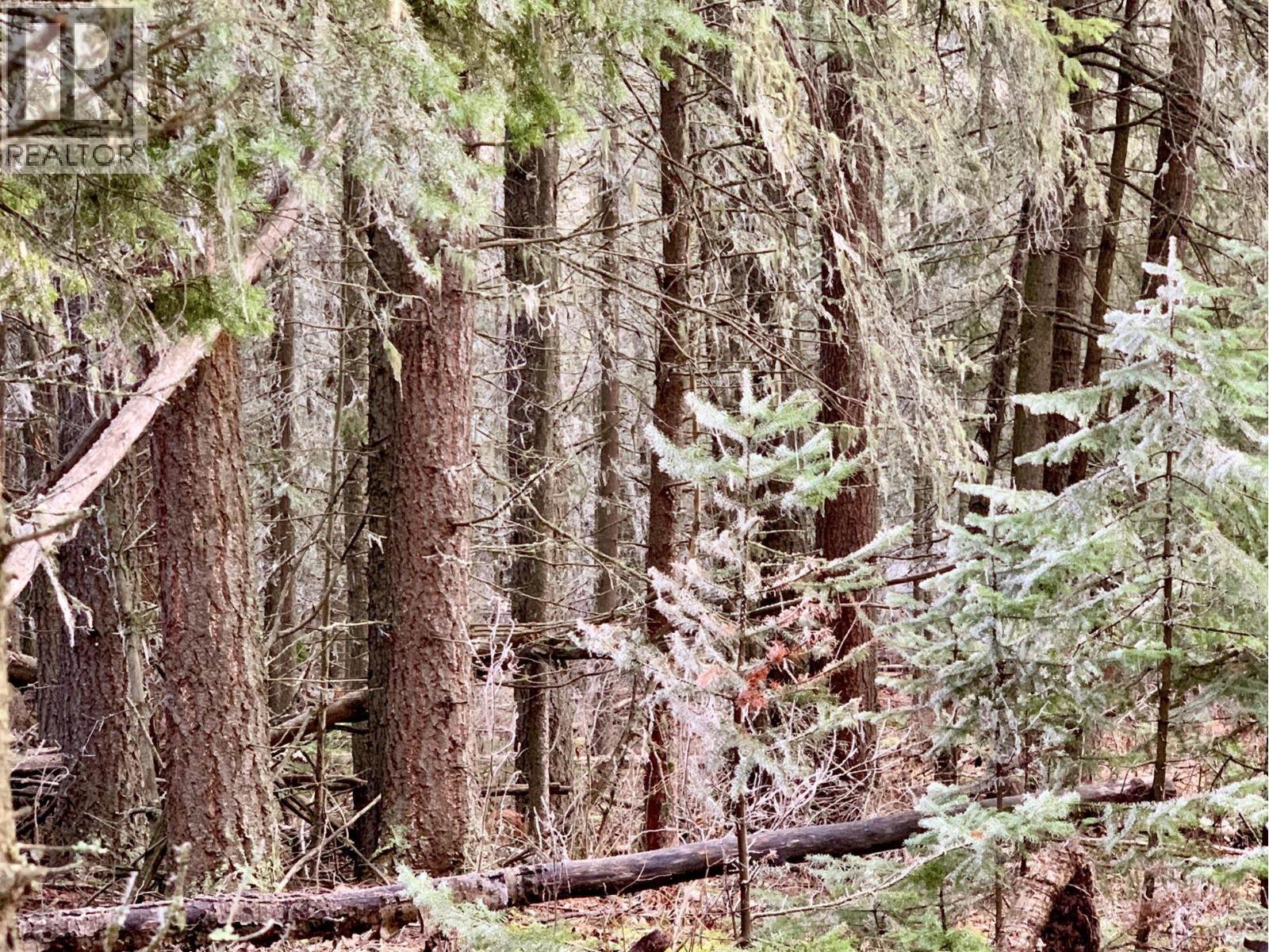 1475 Kueng Road, Prince George, British Columbia  V2M 7C5 - Photo 6 - R3105795