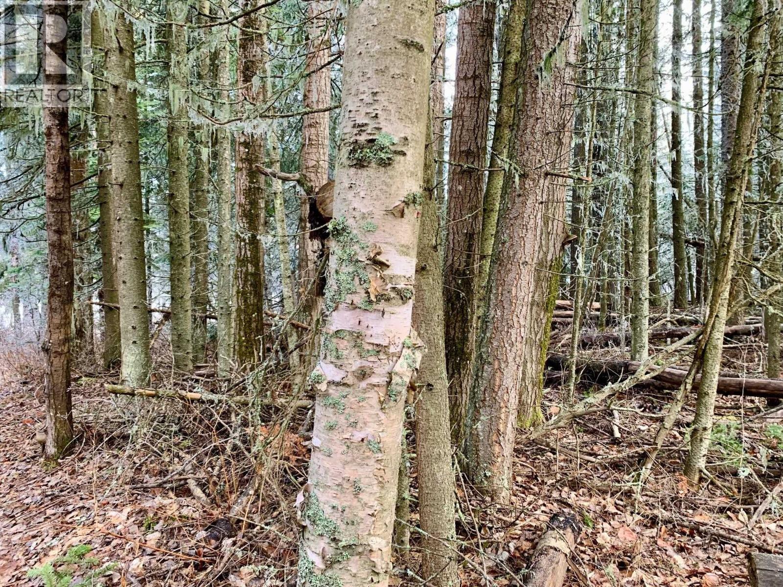 1475 Kueng Road, Prince George, British Columbia  V2M 7C5 - Photo 7 - R3105795