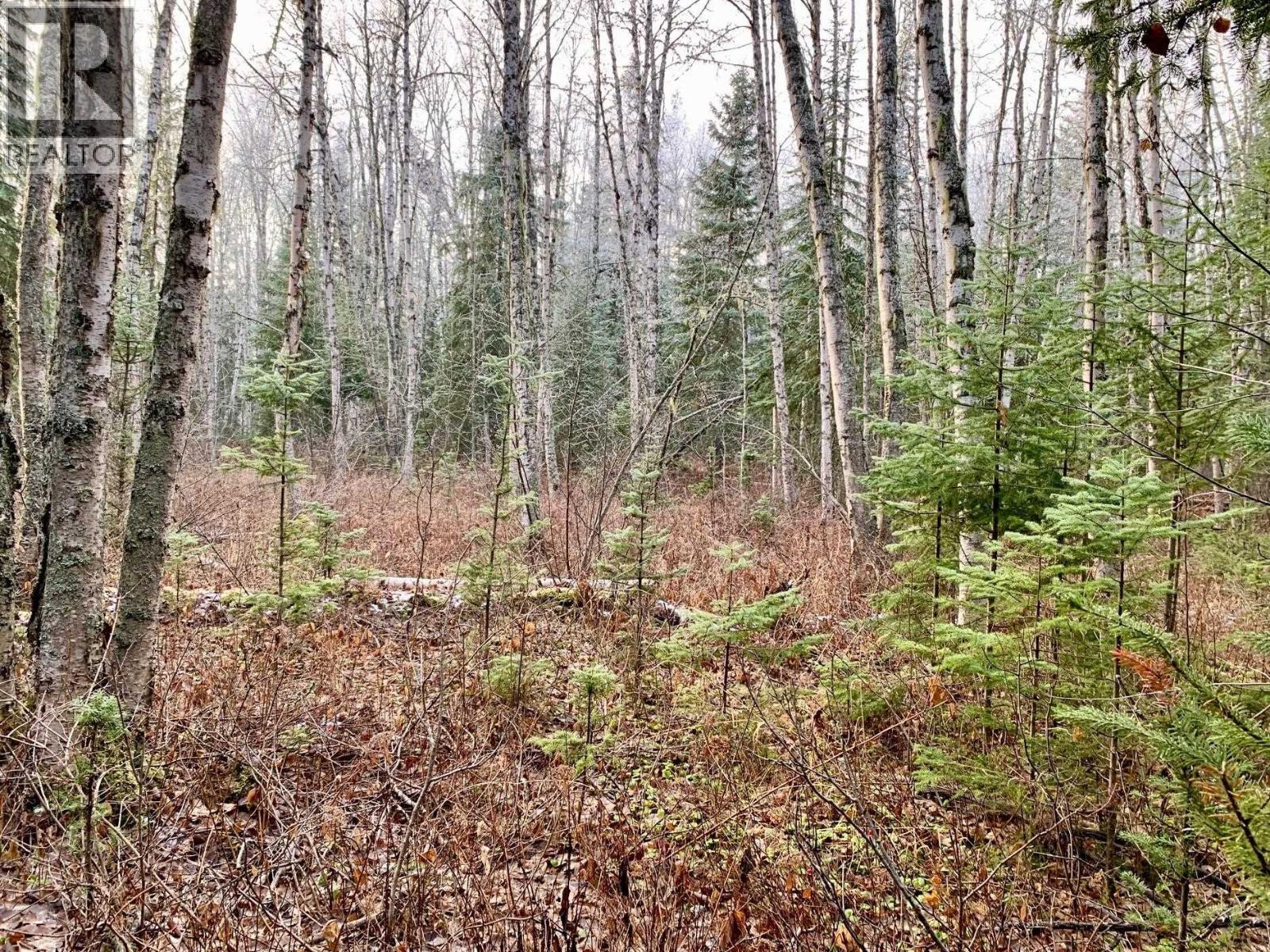 1475 Kueng Road, Prince George, British Columbia  V2M 7C5 - Photo 8 - R3105795