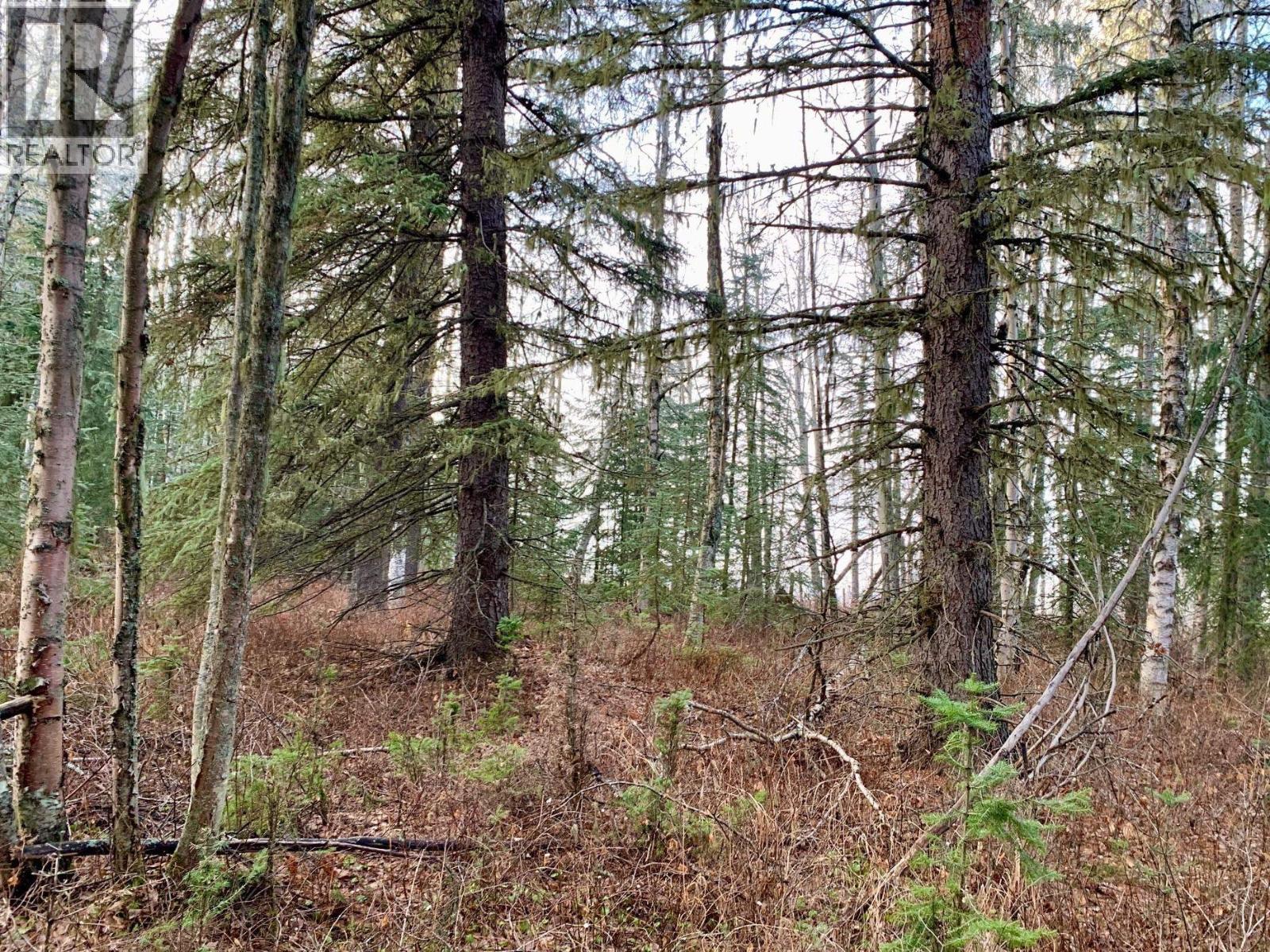 1475 Kueng Road, Prince George, British Columbia  V2M 7C5 - Photo 9 - R3105795