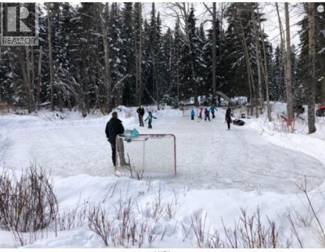 9744 Haldi Road, Prince George, British Columbia  V2N 6J5 - Photo 15 - R3106182