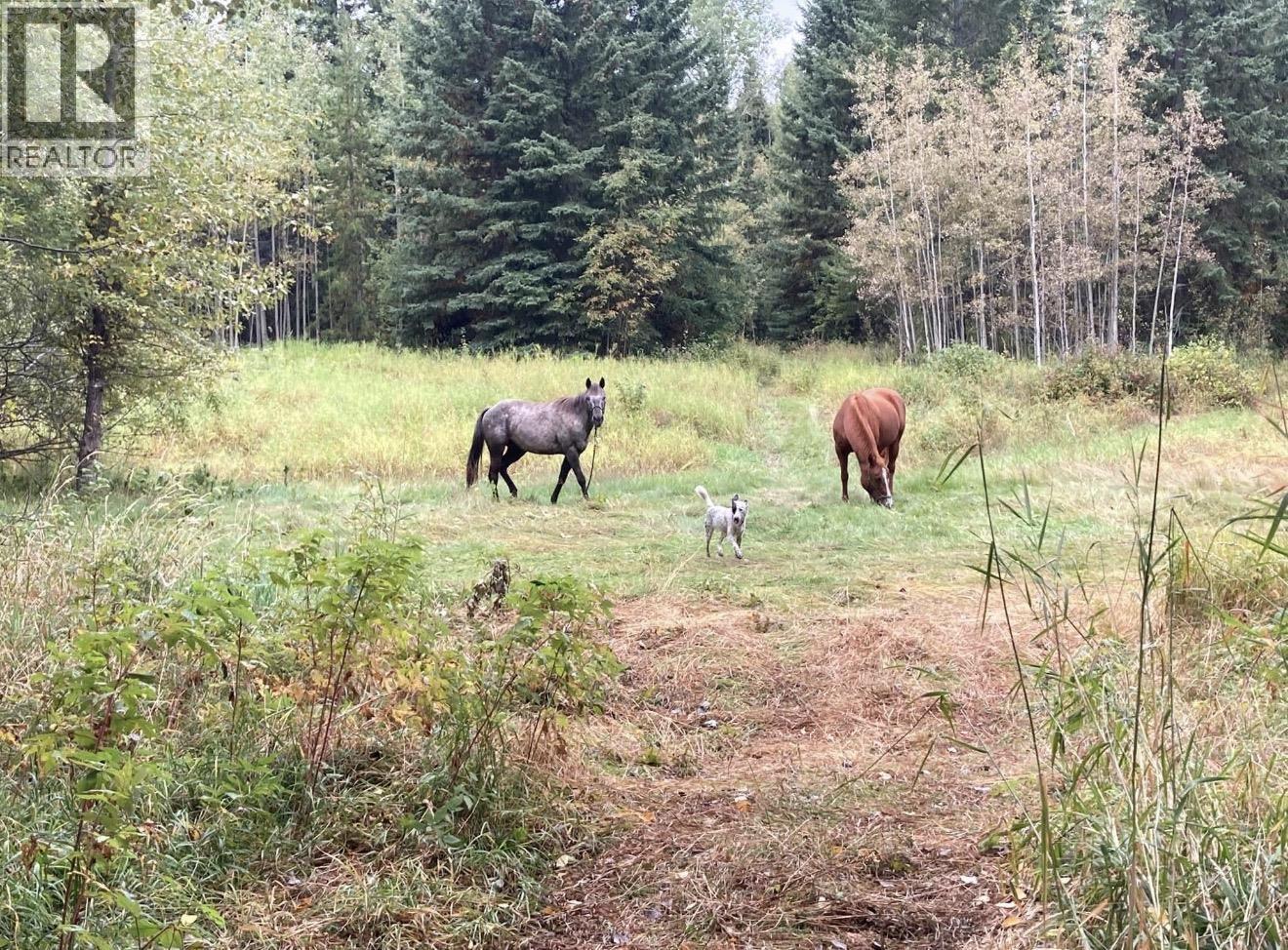 13360 Lerelyn Road, Prince George, British Columbia  V2N 5X9 - Photo 36 - R3108315