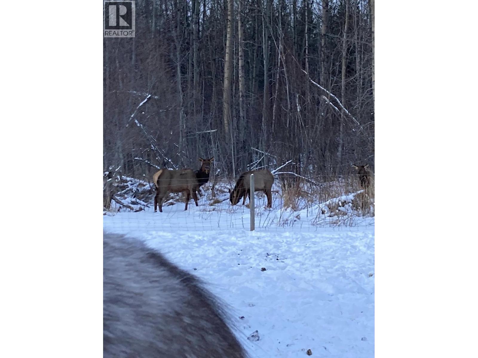 13360 Lerelyn Road, Prince George, British Columbia  V2N 5X9 - Photo 37 - R3108315